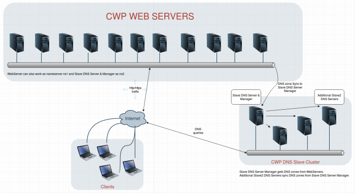 CWP_DNS_Cluster